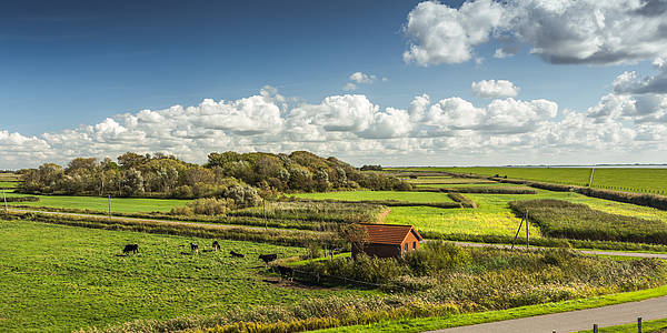Schleswig-Holstein
